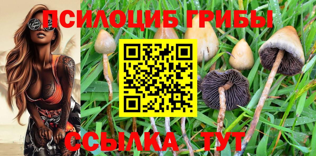 Псилоцибиновые грибы MAGIC MUSHROOMS  Вход с VPN  Галлюциногенные грибы Psilocybe  Лесосибирск 