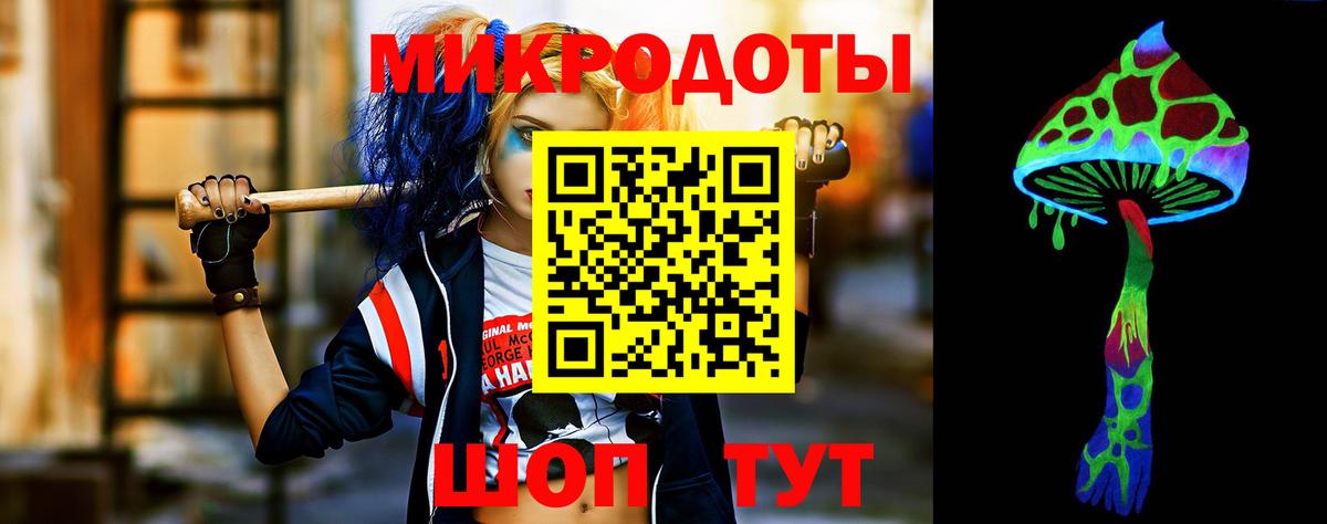 Галлюциногенные грибы Psilocybe Лесосибирск